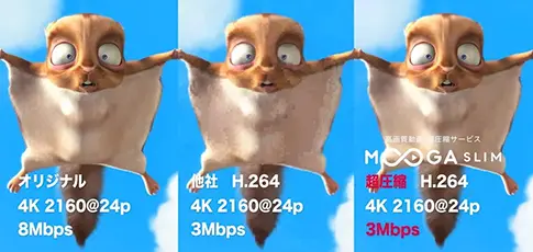 キャラクター(全体的に)でブロックノイズ発生